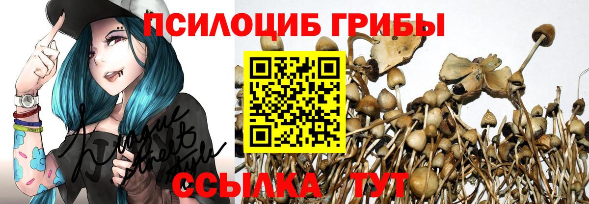 хочу наркоту  Вход с VPN  Рузаевка  Галлюциногенные грибы Psilocybine cubensis  Псилоцибиновые грибы ЛСД 